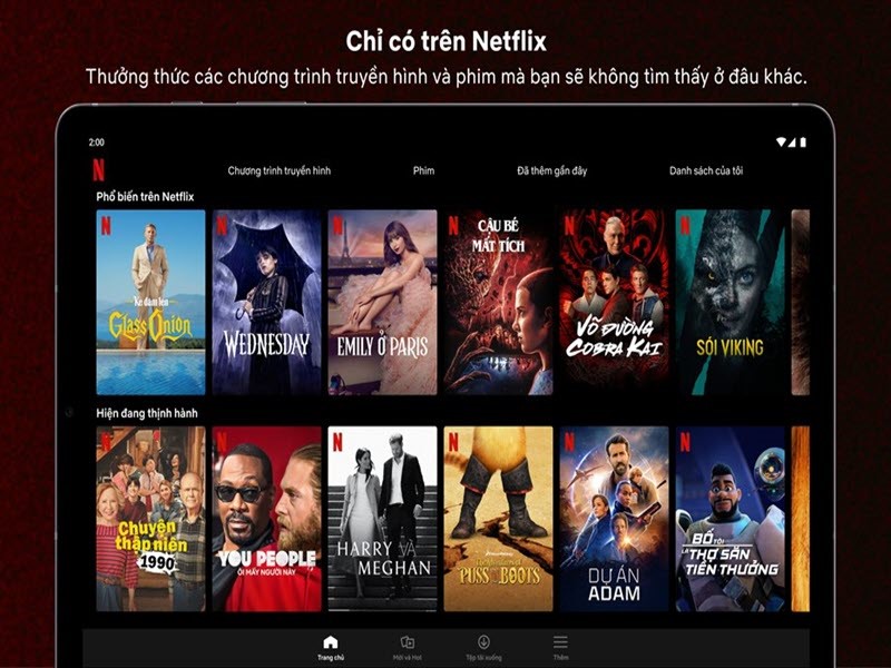 tai-khoan-netflix-3