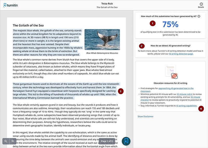 Tài Khoản Turnitin 4