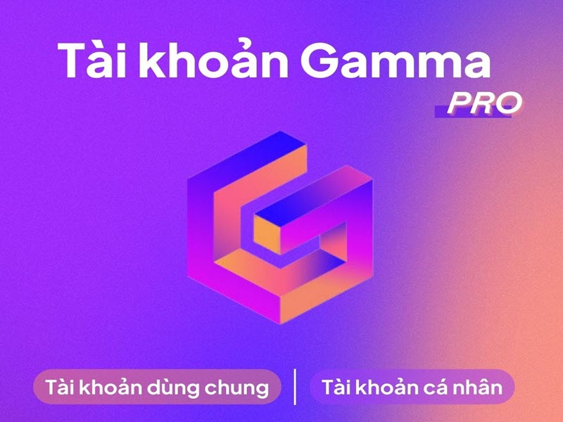 Gamma-Plus-Pro-2