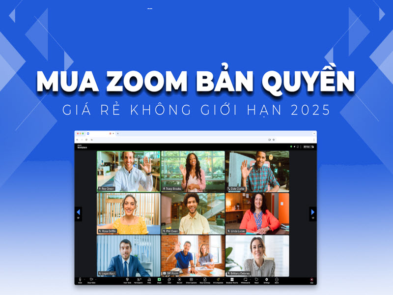 Zoom-Pro-2